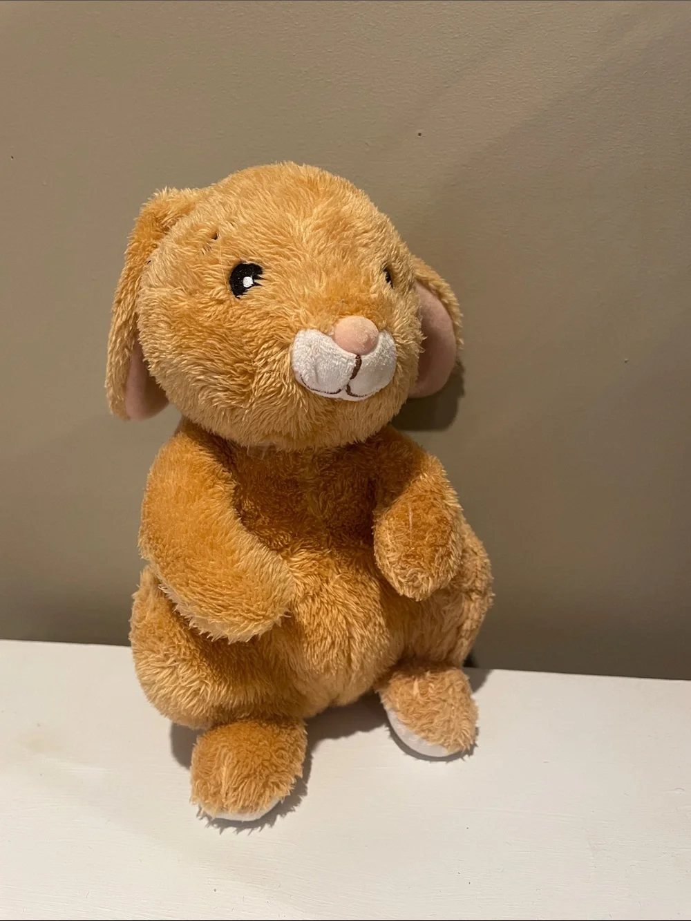 Sweet little bunny with white tail